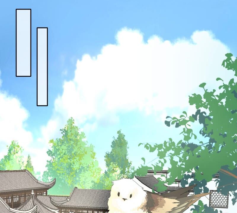 世无良猫韩漫全集-第181话 营救计划无删减无遮挡章节图片 