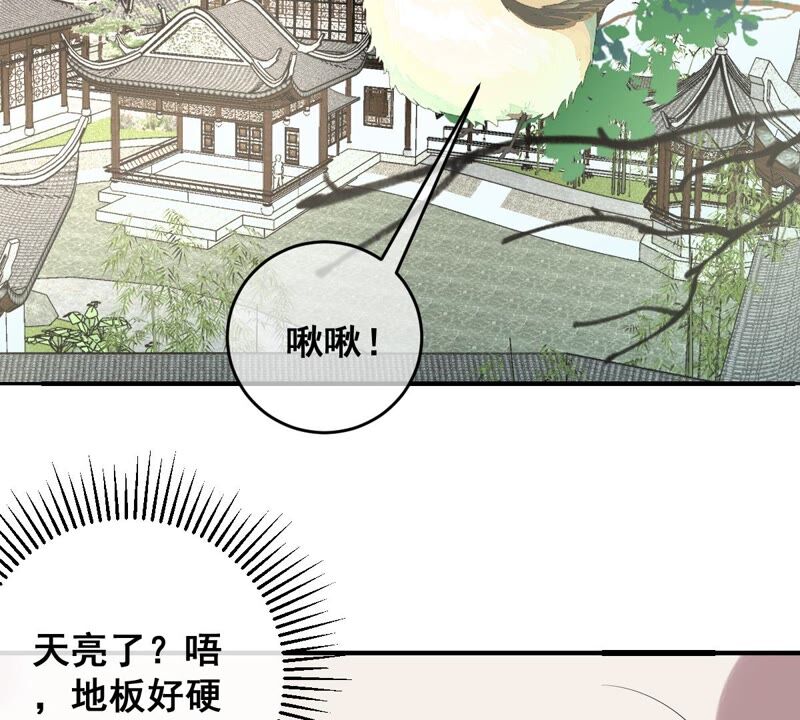 世无良猫韩漫全集-第181话 营救计划无删减无遮挡章节图片 