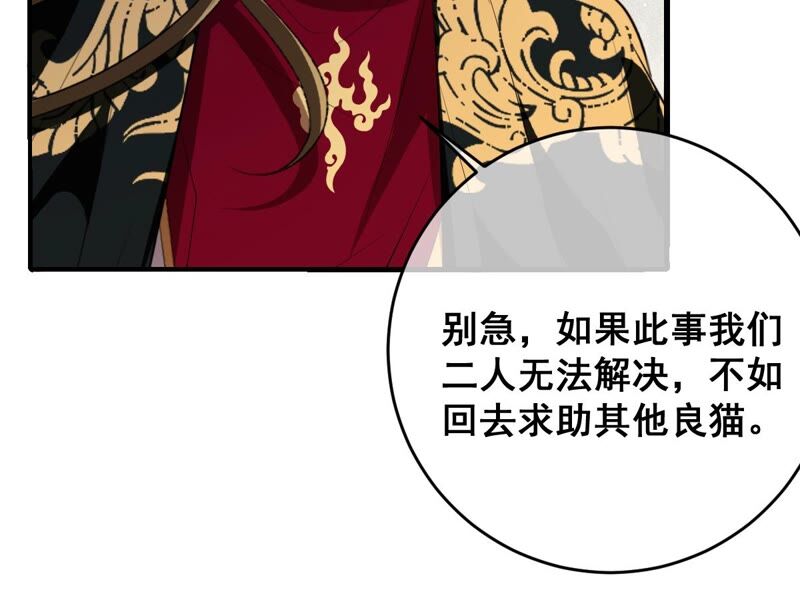 世无良猫韩漫全集-第185话 惨败无删减无遮挡章节图片 
