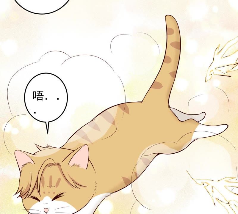 世无良猫韩漫全集-第19话 礼尚往来无删减无遮挡章节图片 