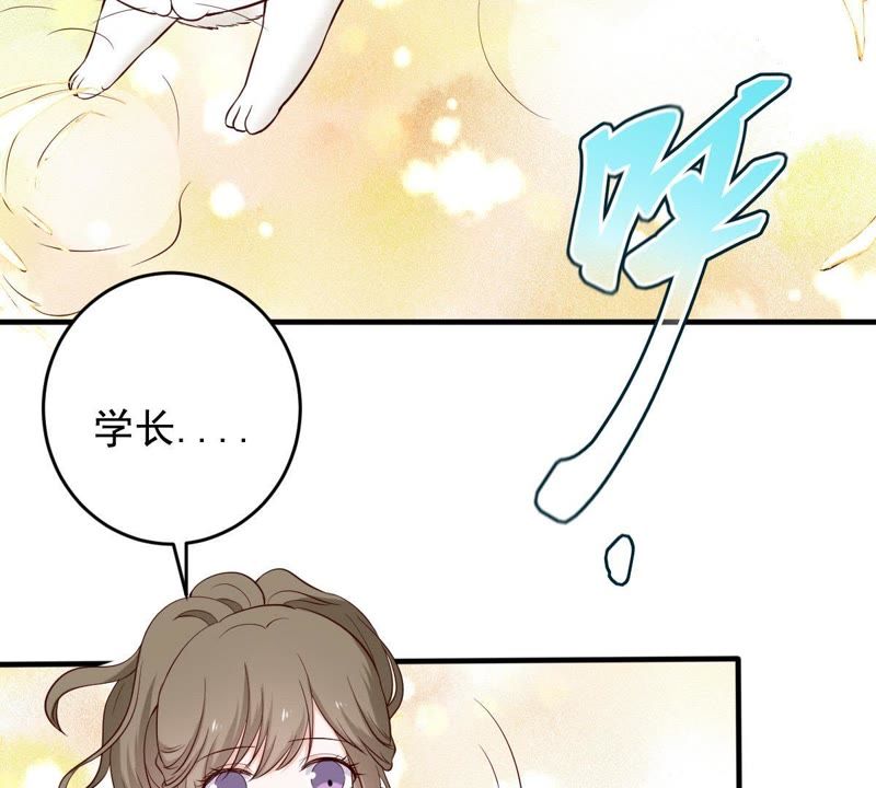 世无良猫韩漫全集-第19话 礼尚往来无删减无遮挡章节图片 