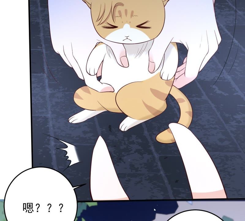 世无良猫韩漫全集-第19话 礼尚往来无删减无遮挡章节图片 