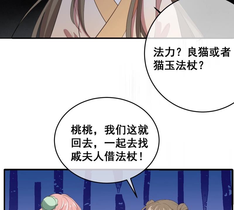 世无良猫韩漫全集-第190话 轮回无删减无遮挡章节图片 