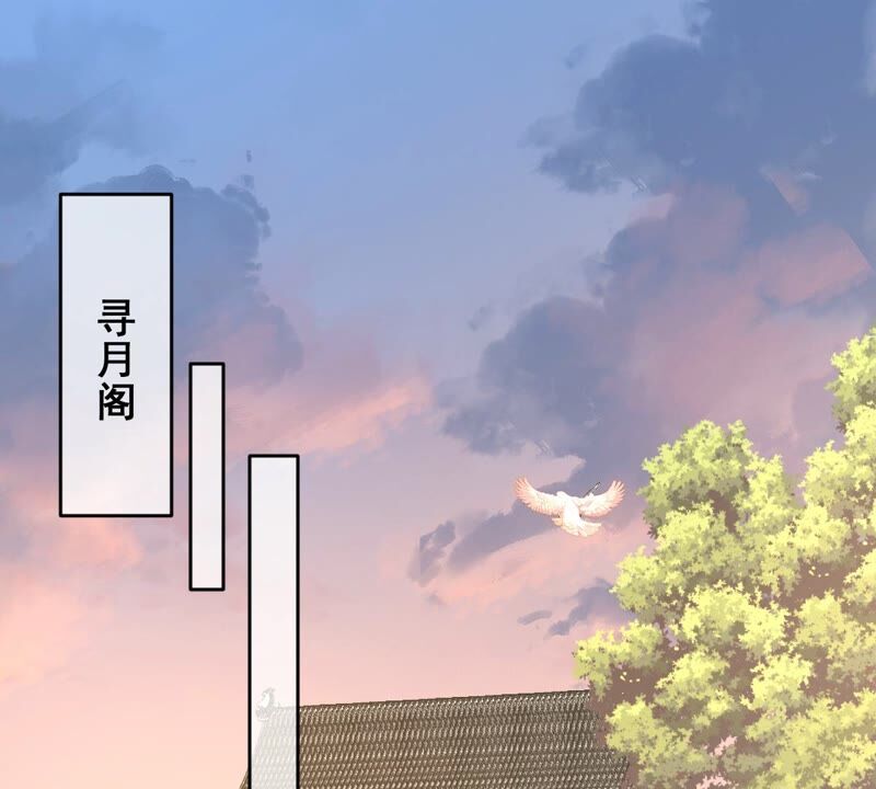 世无良猫韩漫全集-第197话 正式敌对无删减无遮挡章节图片 