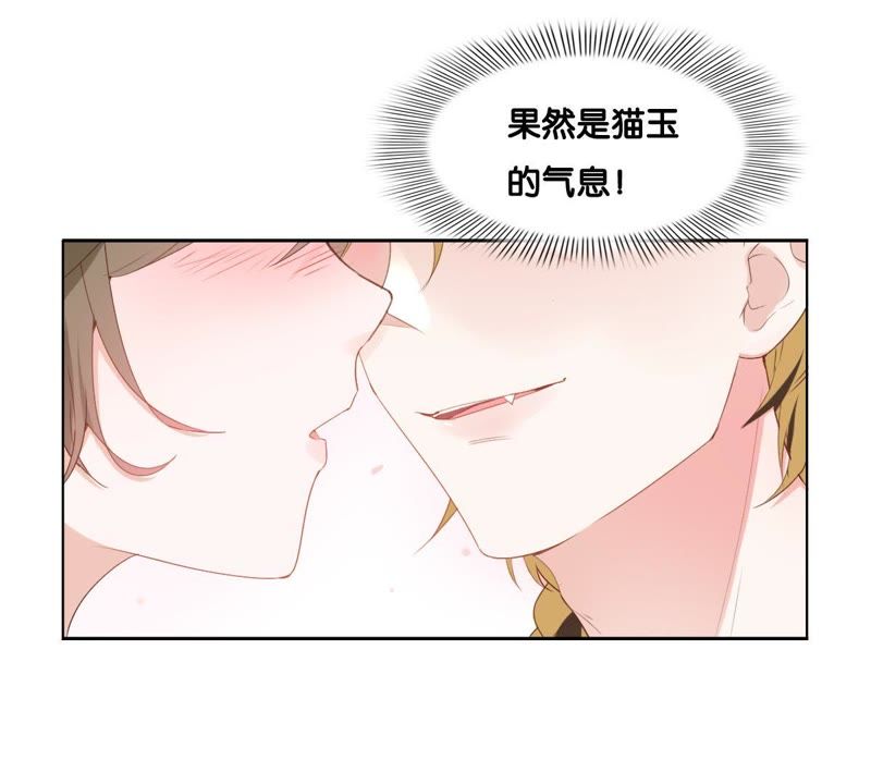 世无良猫韩漫全集-第2话 神秘男人的来历无删减无遮挡章节图片 