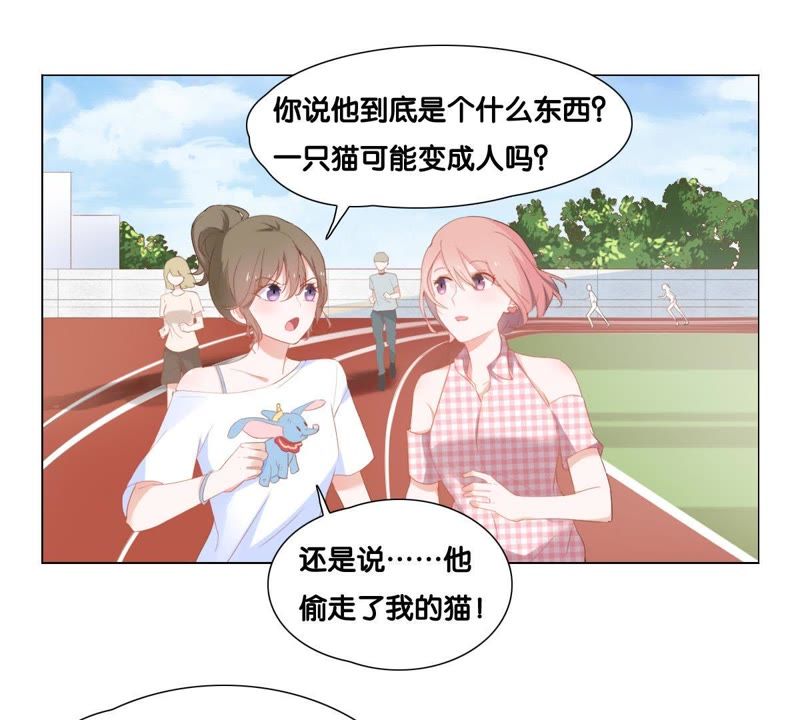 世无良猫韩漫全集-第2话 神秘男人的来历无删减无遮挡章节图片 
