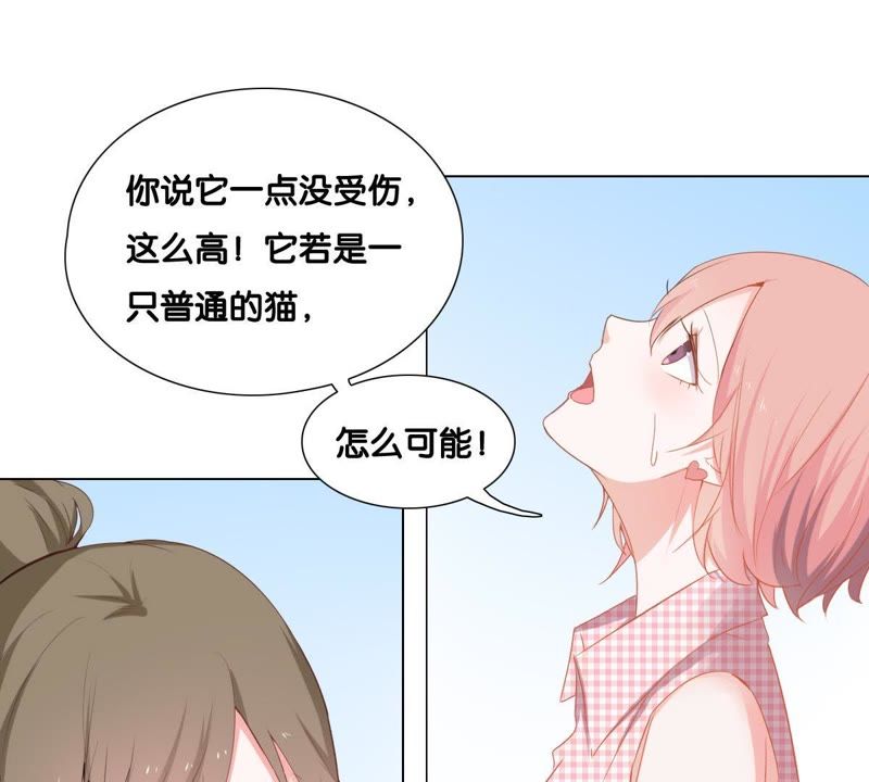 世无良猫韩漫全集-第2话 神秘男人的来历无删减无遮挡章节图片 