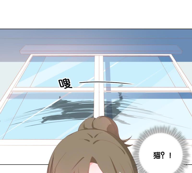 世无良猫韩漫全集-第2话 神秘男人的来历无删减无遮挡章节图片 
