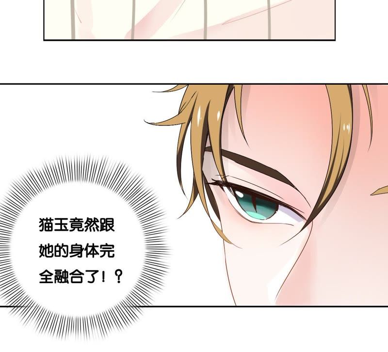 世无良猫韩漫全集-第2话 神秘男人的来历无删减无遮挡章节图片 
