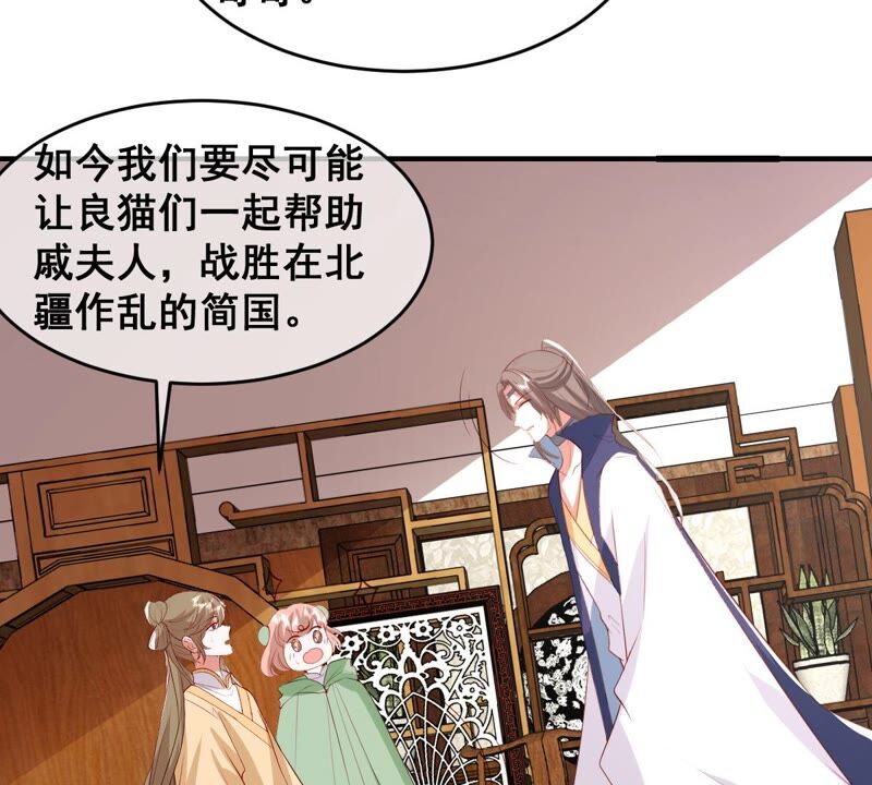 世无良猫韩漫全集-第199话 唤醒记忆无删减无遮挡章节图片 