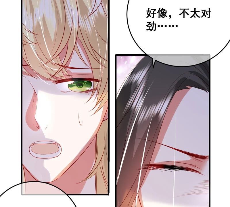 世无良猫韩漫全集-第199话 唤醒记忆无删减无遮挡章节图片 