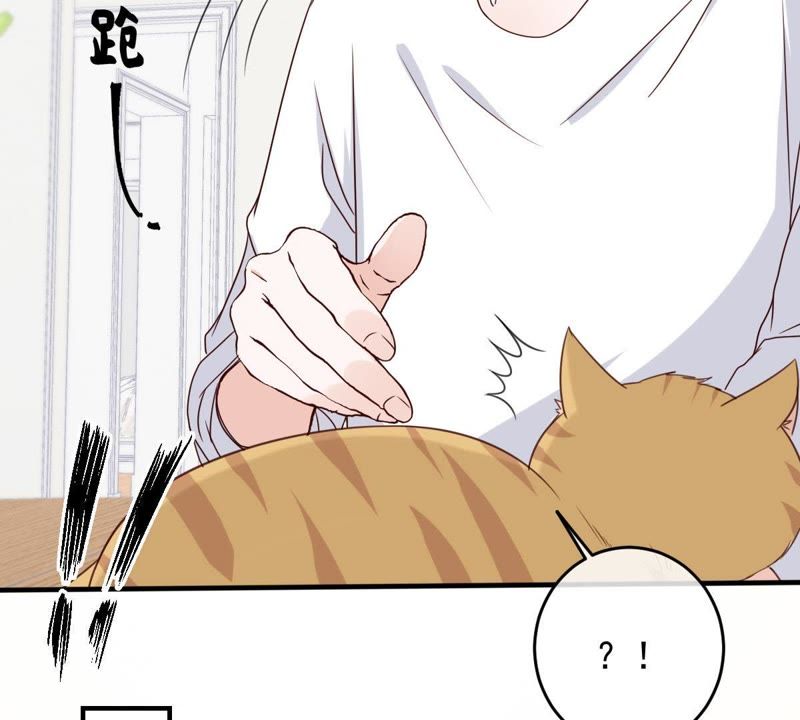 世无良猫韩漫全集-第22话 楚青被困梦境无删减无遮挡章节图片 