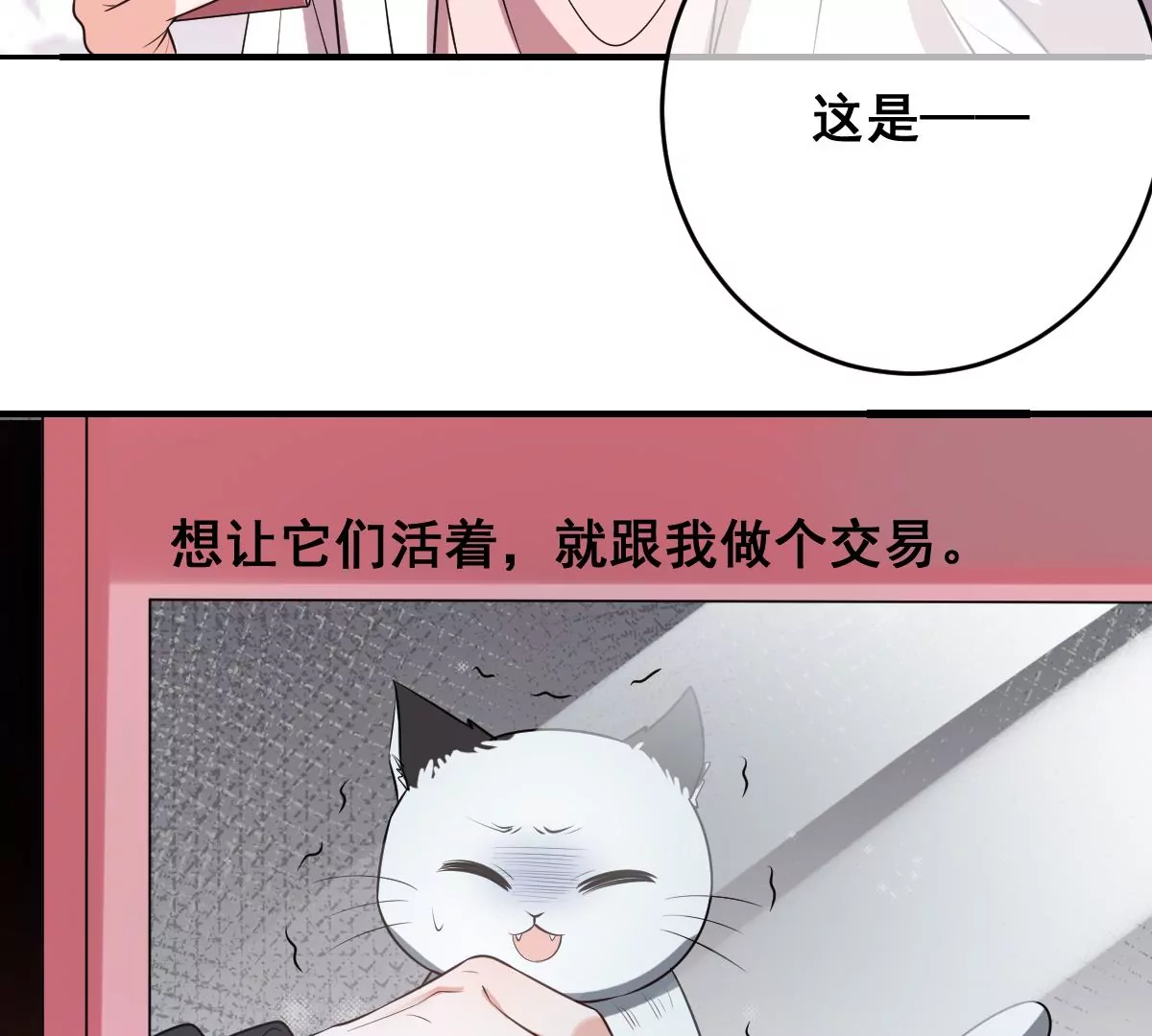 世无良猫韩漫全集-第219话 嫁给我吧无删减无遮挡章节图片 