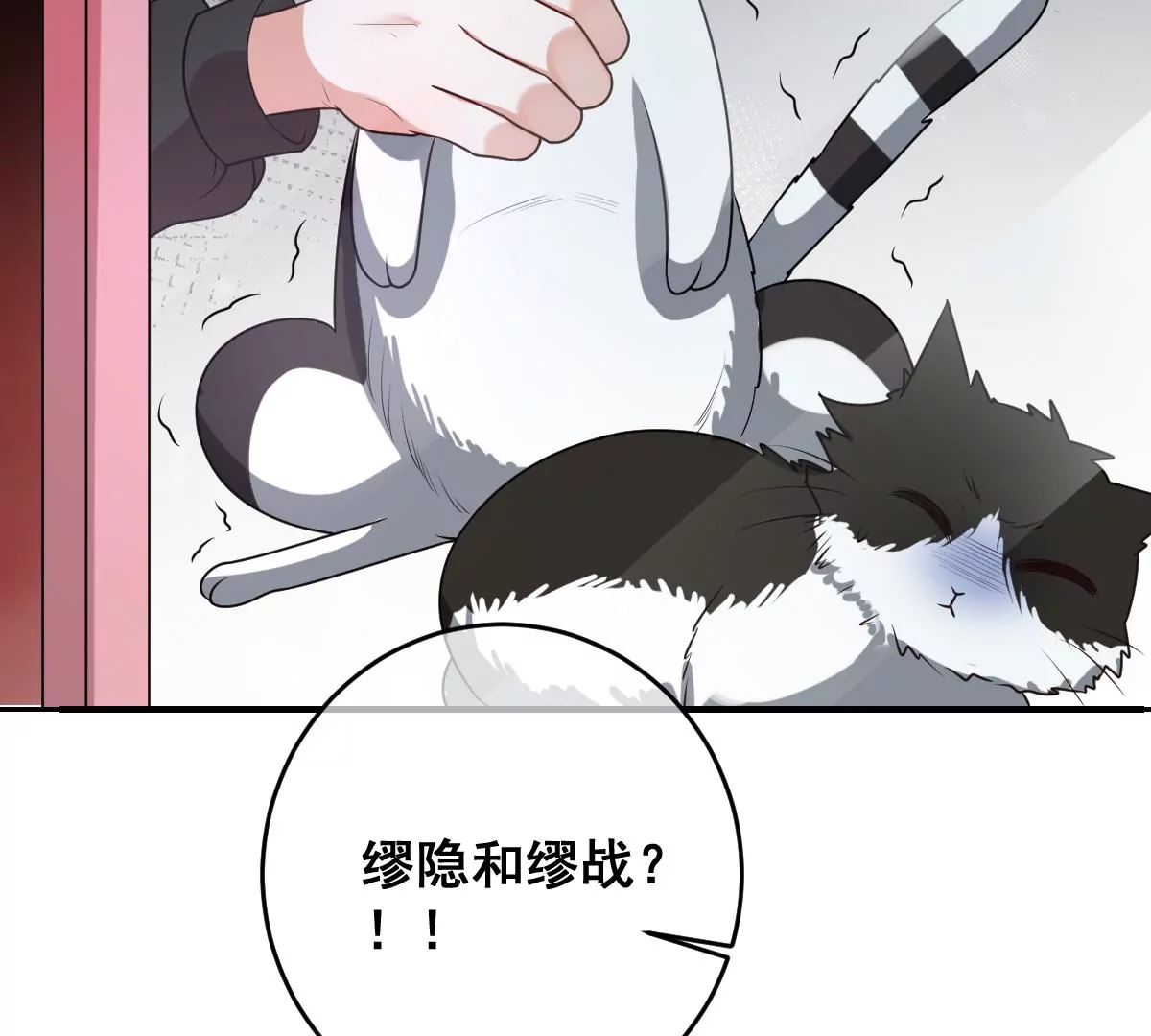 世无良猫韩漫全集-第219话 嫁给我吧无删减无遮挡章节图片 