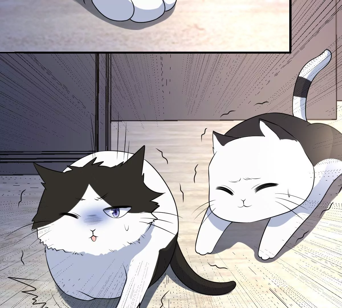 世无良猫韩漫全集-第226话 危在旦夕！无删减无遮挡章节图片 
