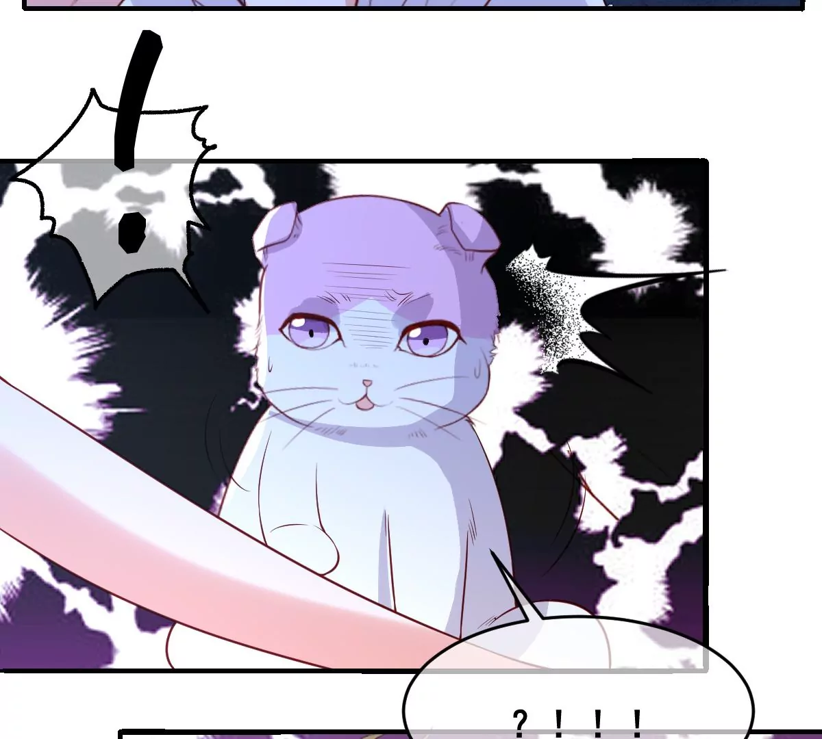 世无良猫韩漫全集-第二百三十话 求婚？无删减无遮挡章节图片 