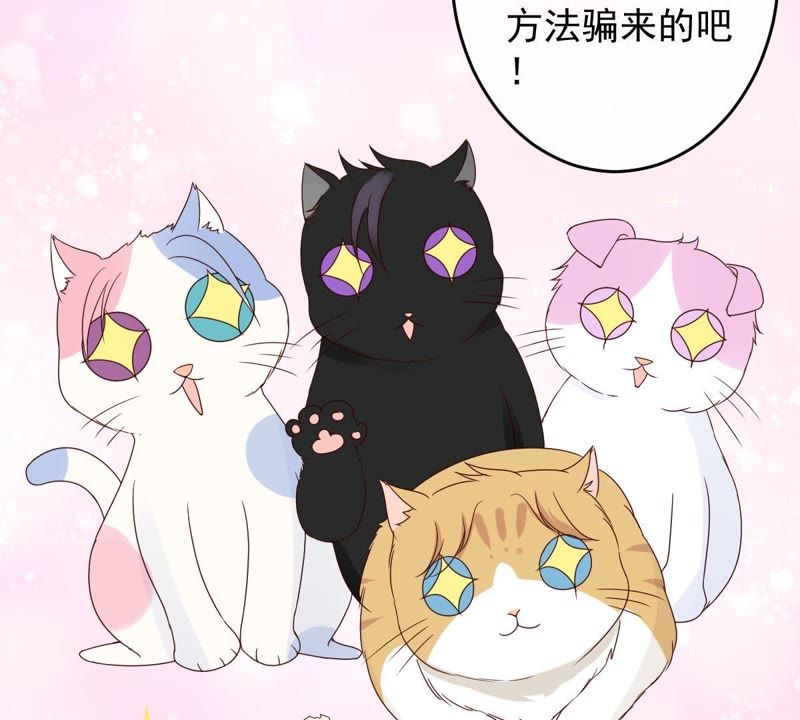 世无良猫韩漫全集-第25话 狗粮天上来无删减无遮挡章节图片 