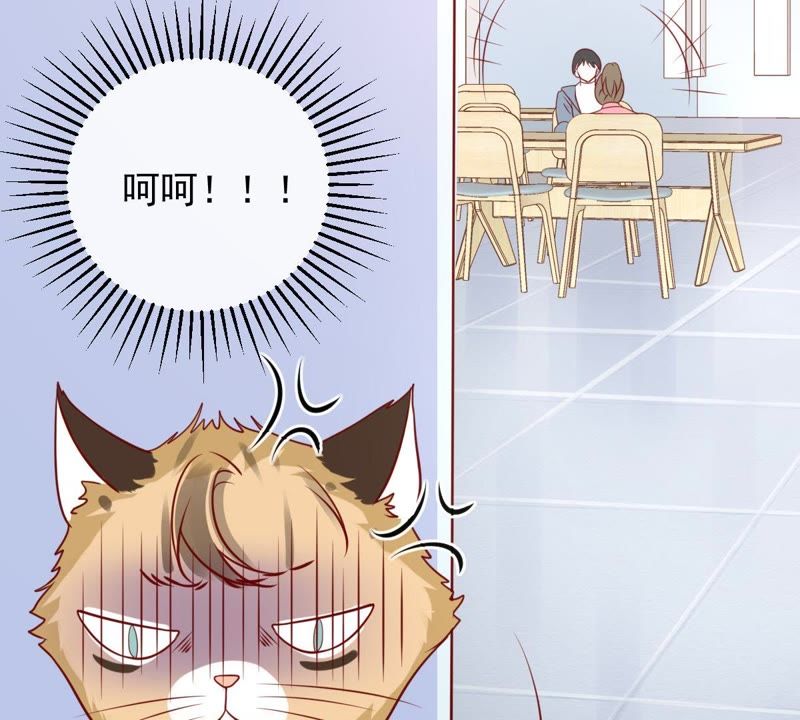 世无良猫韩漫全集-第28话 楚青的备胎无删减无遮挡章节图片 