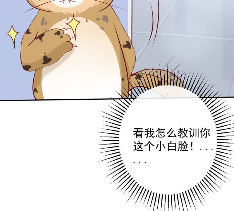世无良猫韩漫全集-第28话 楚青的备胎无删减无遮挡章节图片 