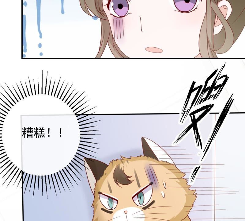 世无良猫韩漫全集-第29话 追妻火葬场无删减无遮挡章节图片 