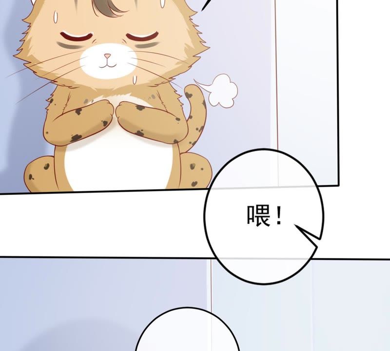 世无良猫韩漫全集-第29话 追妻火葬场无删减无遮挡章节图片 