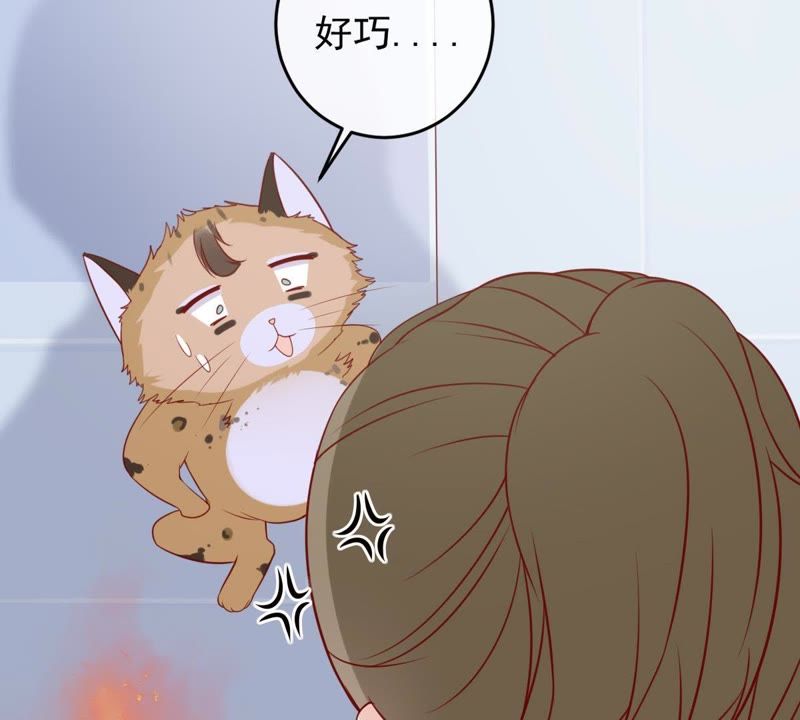 世无良猫韩漫全集-第29话 追妻火葬场无删减无遮挡章节图片 