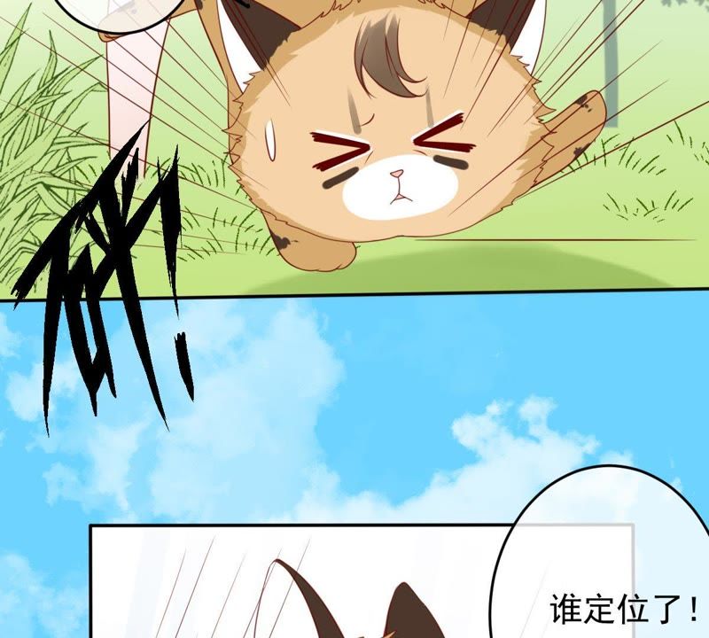 世无良猫韩漫全集-第29话 追妻火葬场无删减无遮挡章节图片 