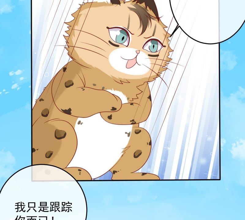 世无良猫韩漫全集-第29话 追妻火葬场无删减无遮挡章节图片 