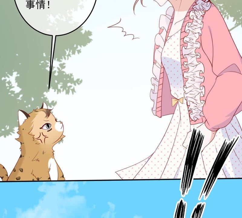 世无良猫韩漫全集-第29话 追妻火葬场无删减无遮挡章节图片 