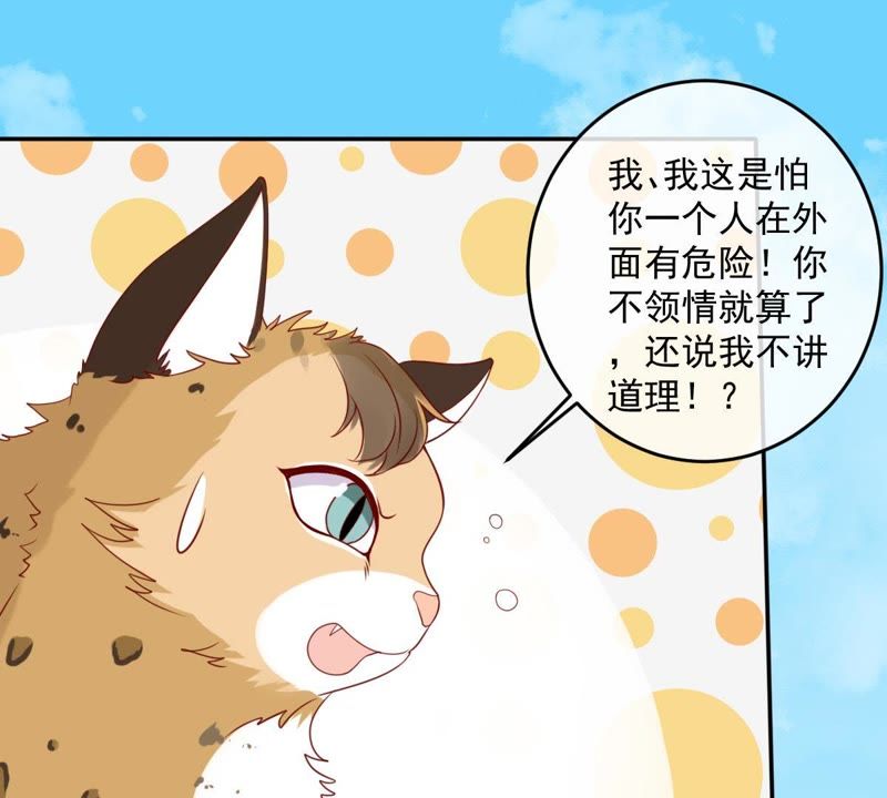 世无良猫韩漫全集-第29话 追妻火葬场无删减无遮挡章节图片 
