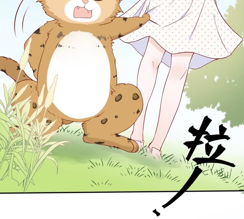 世无良猫韩漫全集-第29话 追妻火葬场无删减无遮挡章节图片 