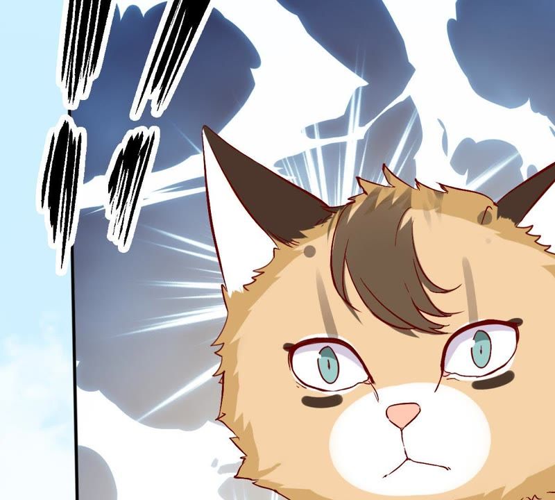 世无良猫韩漫全集-第29话 追妻火葬场无删减无遮挡章节图片 