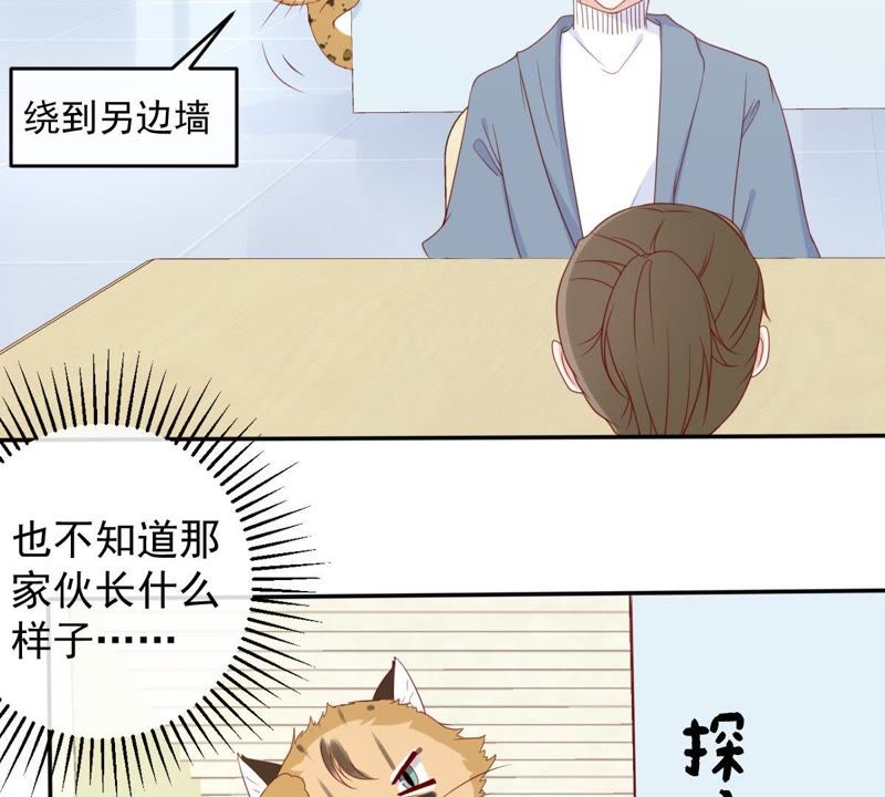 世无良猫韩漫全集-第29话 追妻火葬场无删减无遮挡章节图片 