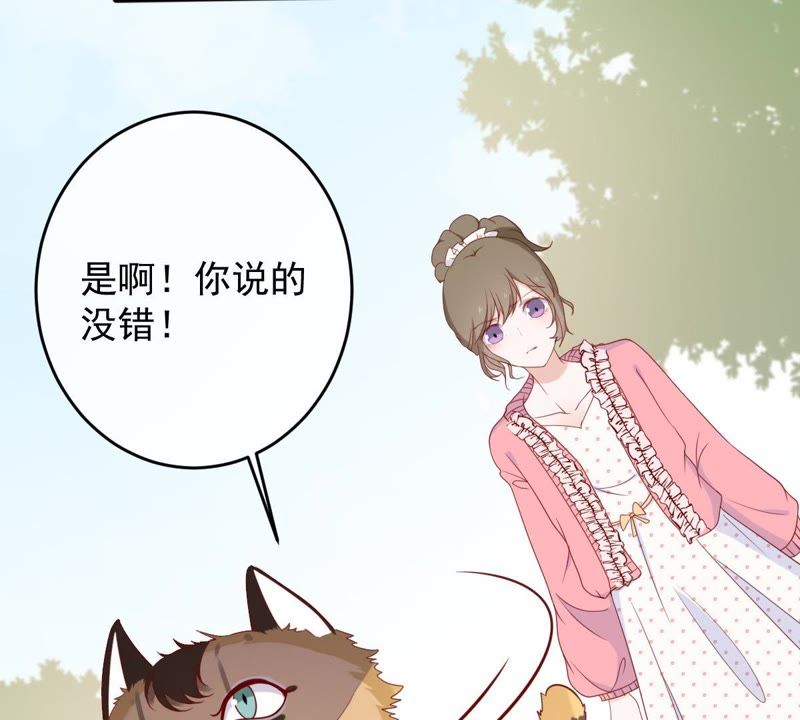 世无良猫韩漫全集-第29话 追妻火葬场无删减无遮挡章节图片 