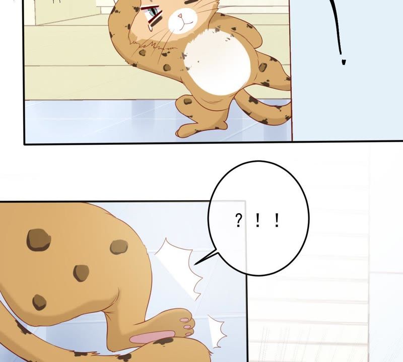 世无良猫韩漫全集-第29话 追妻火葬场无删减无遮挡章节图片 