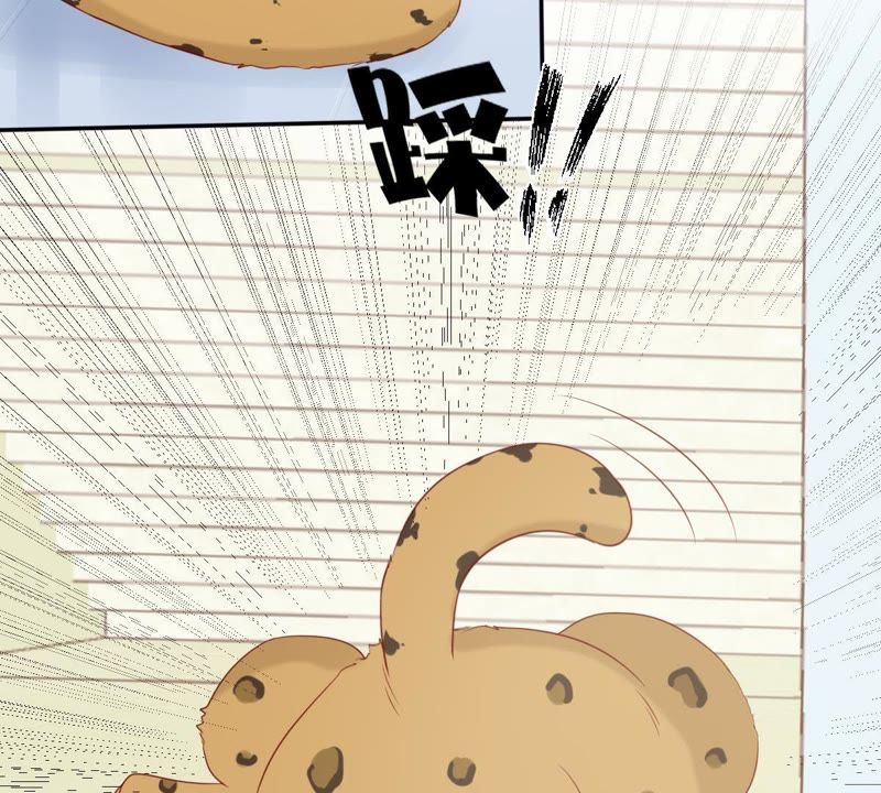 世无良猫韩漫全集-第29话 追妻火葬场无删减无遮挡章节图片 