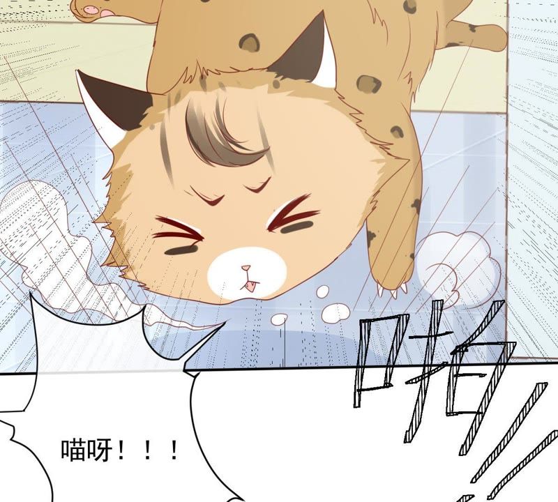 世无良猫韩漫全集-第29话 追妻火葬场无删减无遮挡章节图片 
