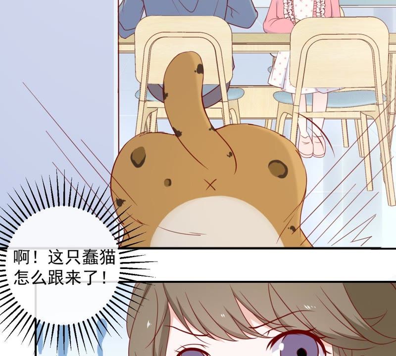 世无良猫韩漫全集-第29话 追妻火葬场无删减无遮挡章节图片 