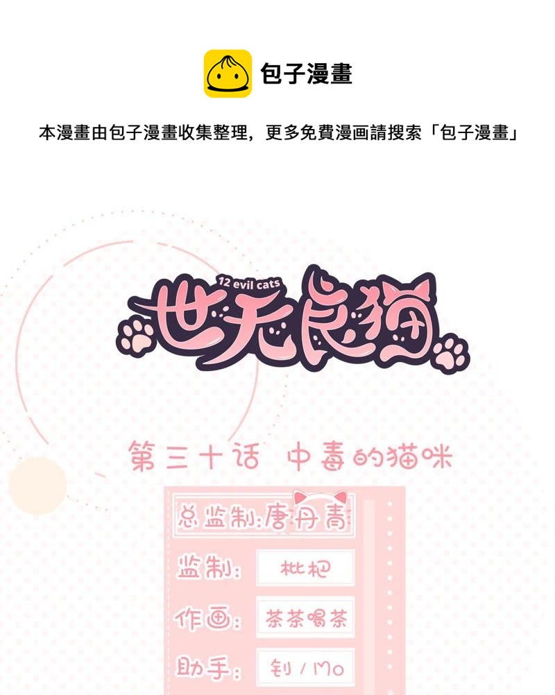 世无良猫韩漫全集-第30话 中毒的猫咪无删减无遮挡章节图片 