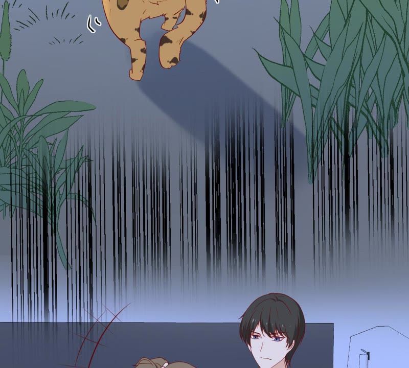 世无良猫韩漫全集-第30话 中毒的猫咪无删减无遮挡章节图片 