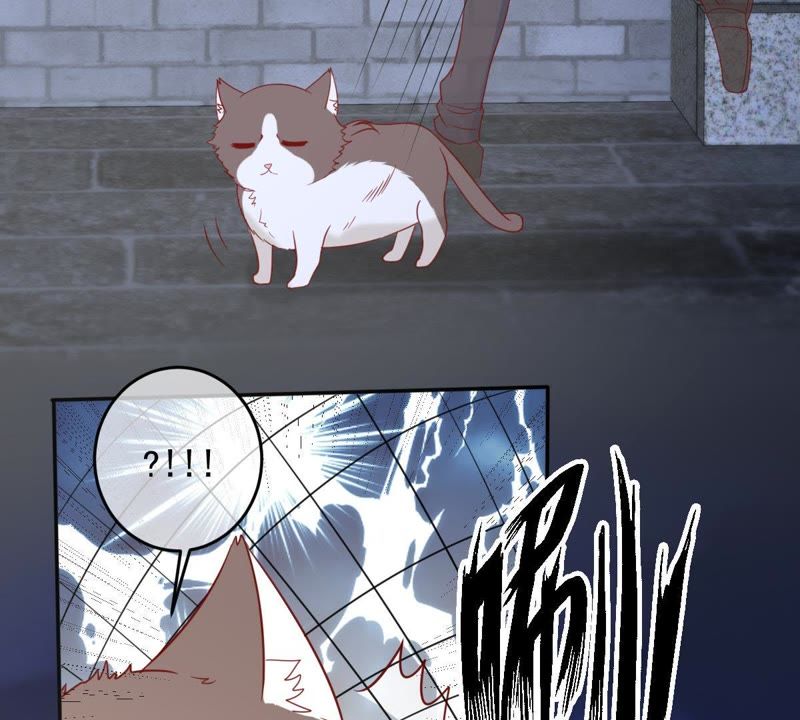 世无良猫韩漫全集-第30话 中毒的猫咪无删减无遮挡章节图片 
