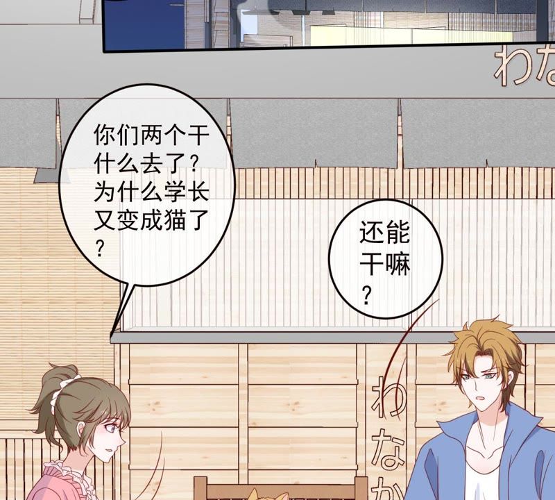 世无良猫韩漫全集-第31话 羊入虎口无删减无遮挡章节图片 