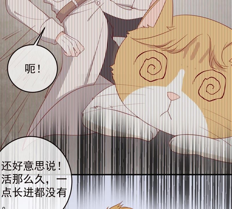 世无良猫韩漫全集-第31话 羊入虎口无删减无遮挡章节图片 