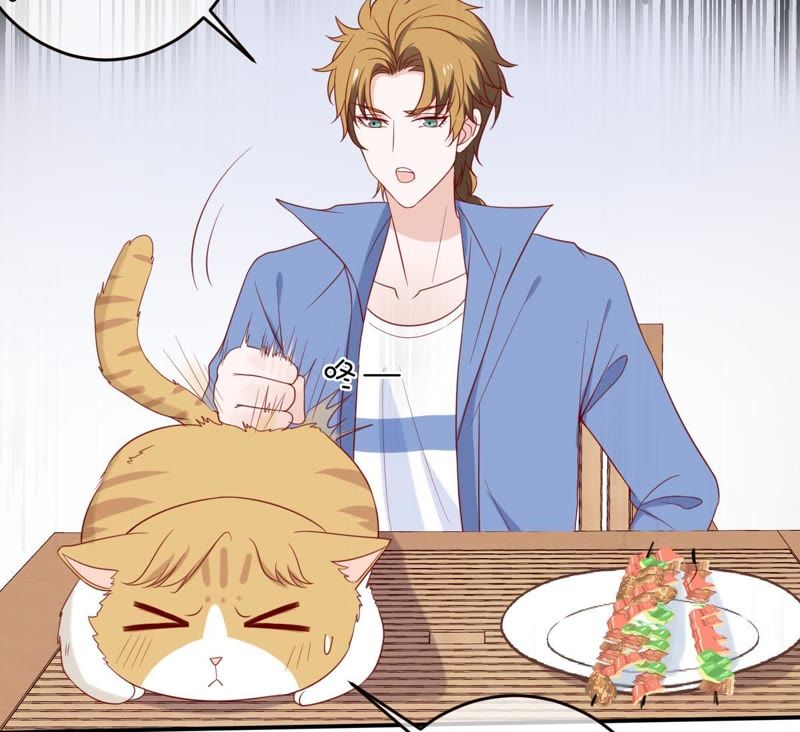 世无良猫韩漫全集-第31话 羊入虎口无删减无遮挡章节图片 
