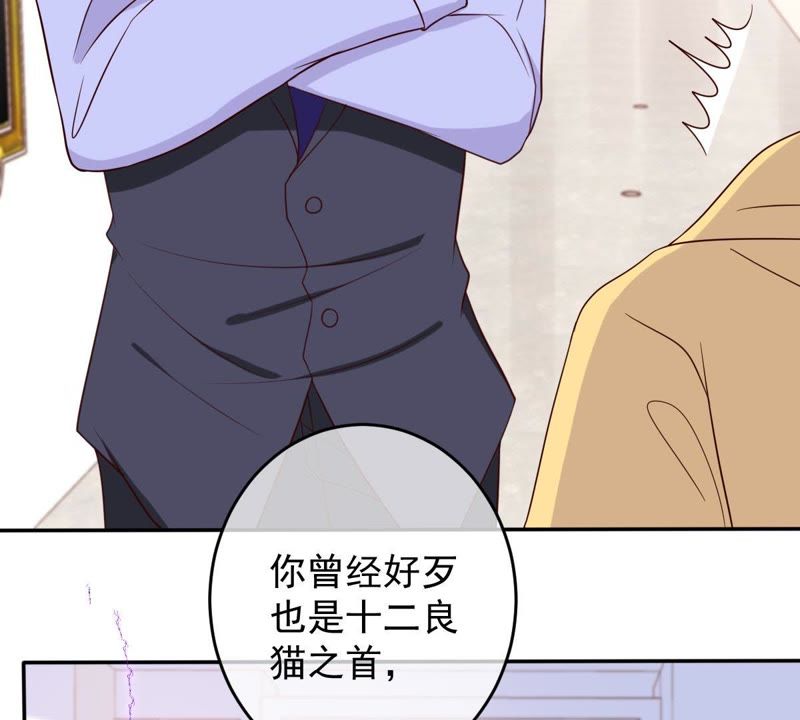 世无良猫韩漫全集-第32话 缪珏和缪夜笙的情义无删减无遮挡章节图片 