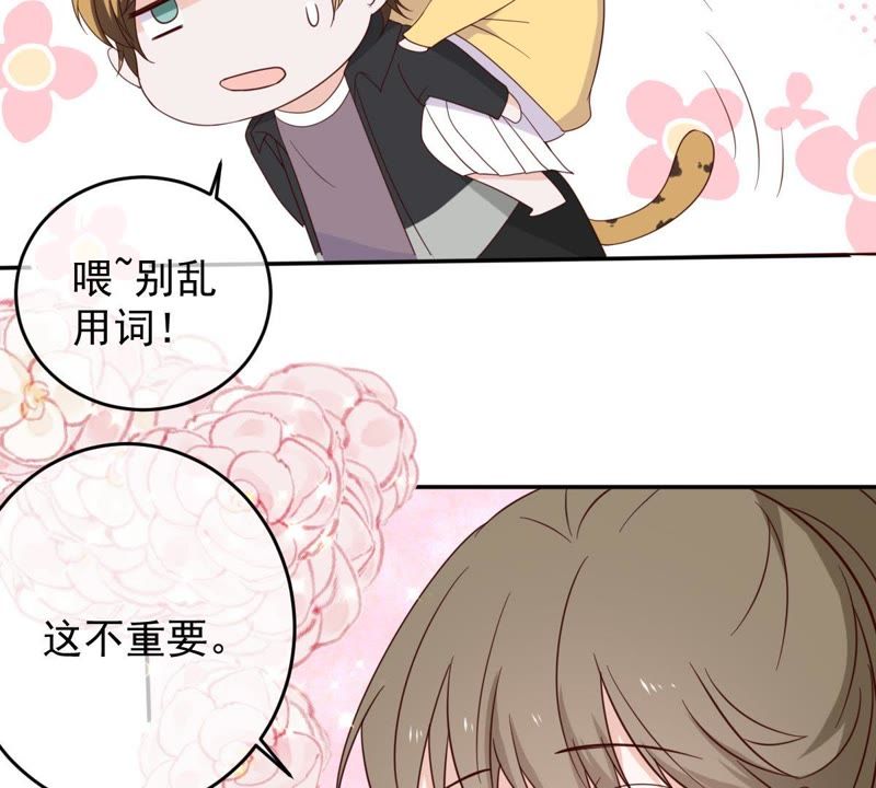 世无良猫韩漫全集-第33话 女友力爆棚无删减无遮挡章节图片 