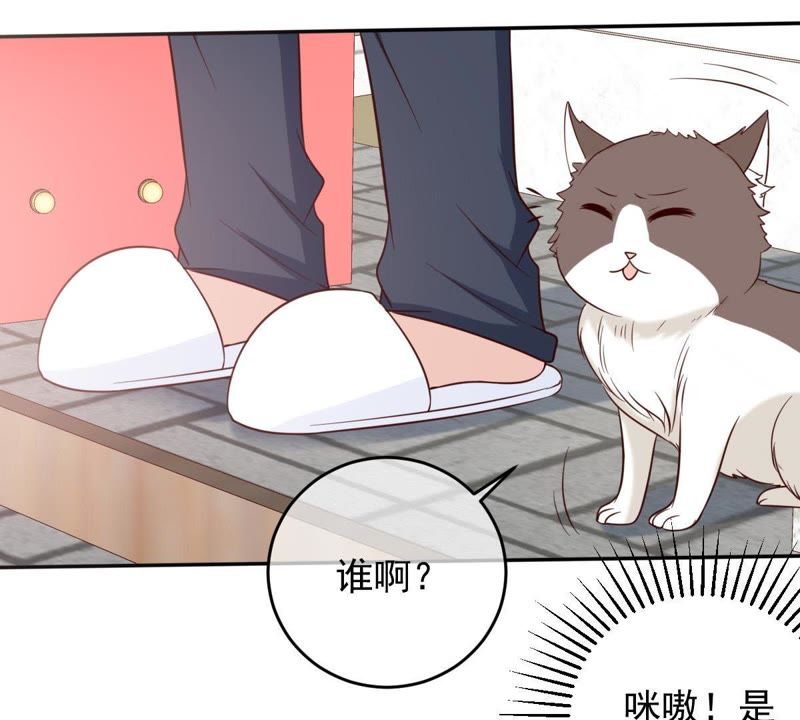世无良猫韩漫全集-第36话 你也想杀我？无删减无遮挡章节图片 