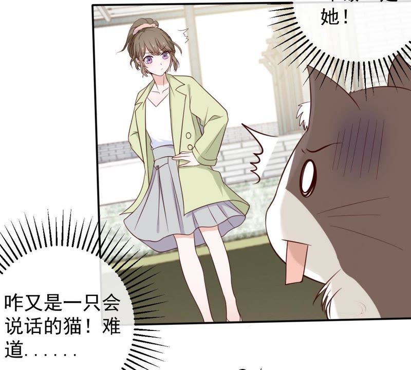 世无良猫韩漫全集-第36话 你也想杀我？无删减无遮挡章节图片 