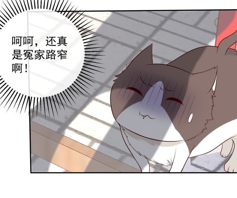 世无良猫韩漫全集-第36话 你也想杀我？无删减无遮挡章节图片 