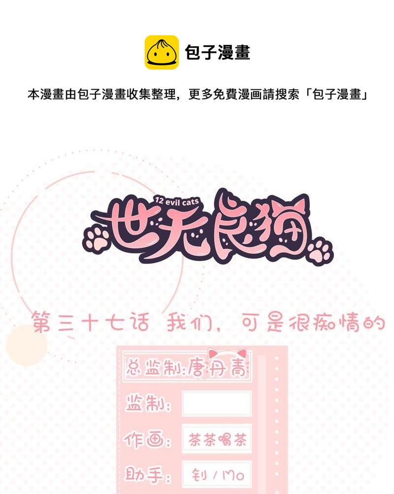 世无良猫韩漫全集-第37话 我们，可是很痴情的无删减无遮挡章节图片 
